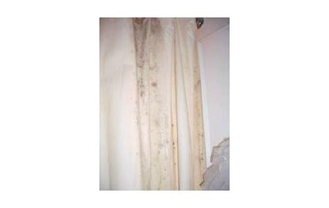 mold shower curtain clean