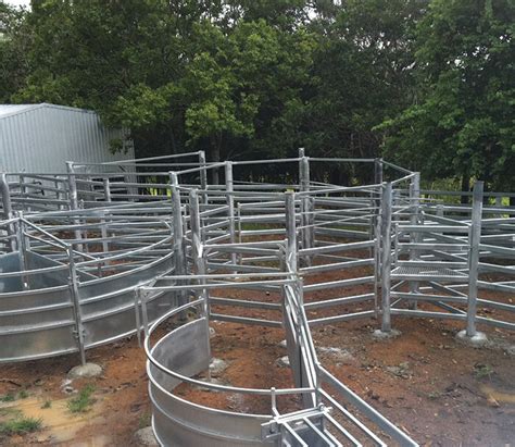 Custom Cattle Yard Design - Cattle Crush Gates - Portable Stockyards