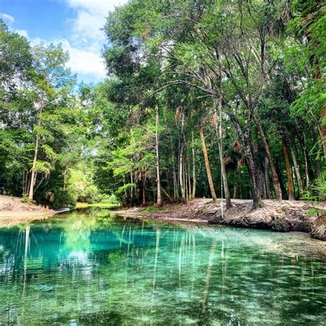 Kayaking The Withlacoochee River To Big Citrus Blue Spring - impulse4adventure