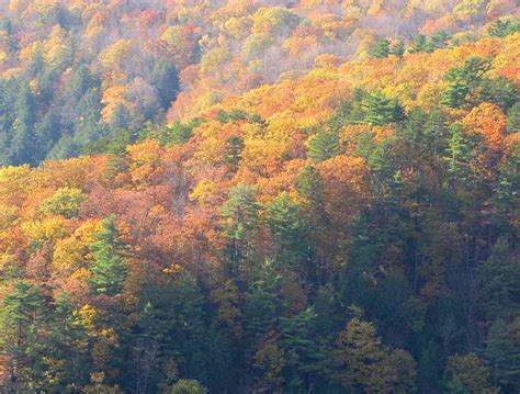 Autumn in Pine Creek Gorge - Pennsylvania's Grand Canyon