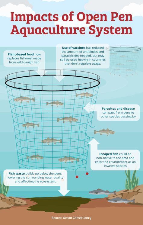 Fishing for Information: The Environmental Impact of Fish Farming | Fish farming, Aquaculture ...