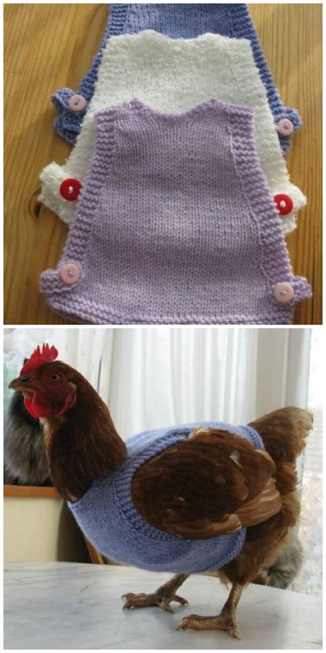 You Will Love These Knitted Chicken Sweaters Patterns | Chicken sweater ...