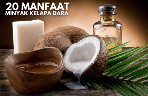 20 KHASIAT MINYAK KELAPA DARA KEPADA KESIHATAN DAN KECANTIKAN • D'Aura