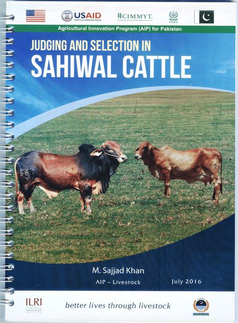 Sahiwal Cow Breeding Age - All About Cow Photos