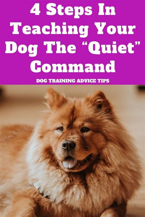 Pin on Dog Obedience Training Tips