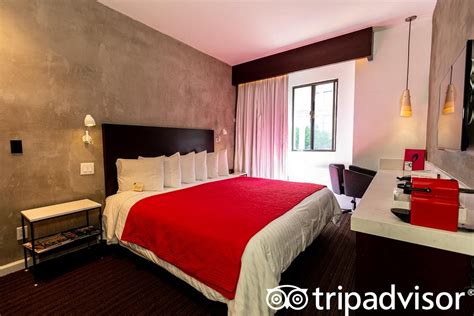 O Hotel - UPDATED Prices, Reviews & Photos (Los Angeles, CA) - Tripadvisor