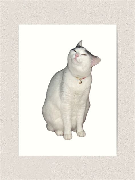 "Smug cat meme" Art Print for Sale by monkofyomom | Redbubble