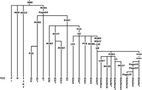 Dienekes’ Anthropology Blog: Major new paper on Y chromosome haplogroup ...