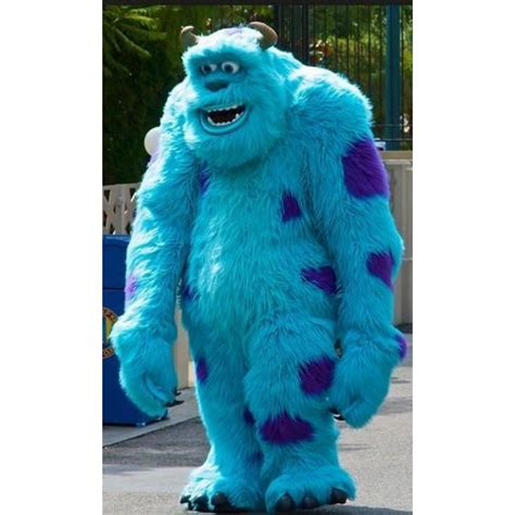 Monster Sully Mascot Costume