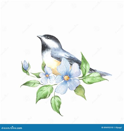 Bird on Branch. Watercolor Painting 4 Stock Illustration - Illustration ...