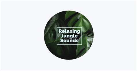 ‎Rainforest Sounds - Apple Music