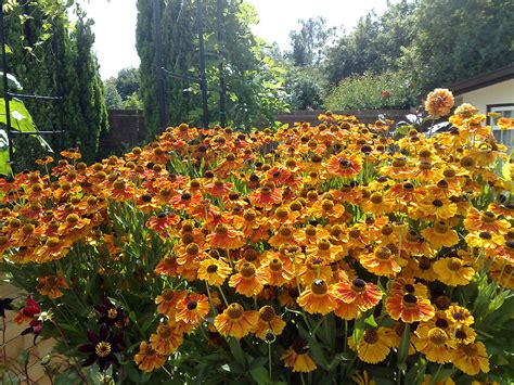 Mother's Sundial Garden