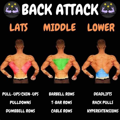 8 Best Muscle Building Back Exercises- Are You Ready To Grow? - GymGuider.com | Back exercises ...