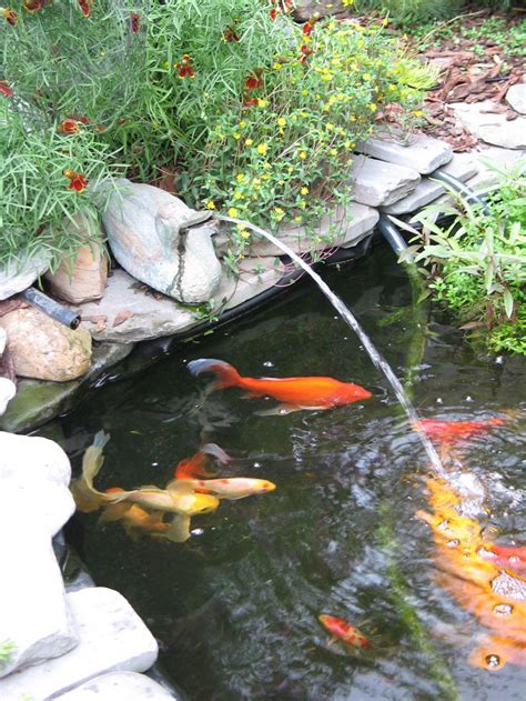 284 best images about Koi Fish Ponds on Pinterest | Backyard ponds ...