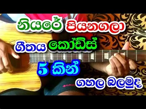 Niyare Piyanagala | 5 Chords | Sinhala Guitar Chords | Em,D,C,Am,B | Sinhala Guitar Lessons ...