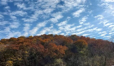 Iowa Fall Colors- 10 Places to Enjoy Fall Foliage in Iowa