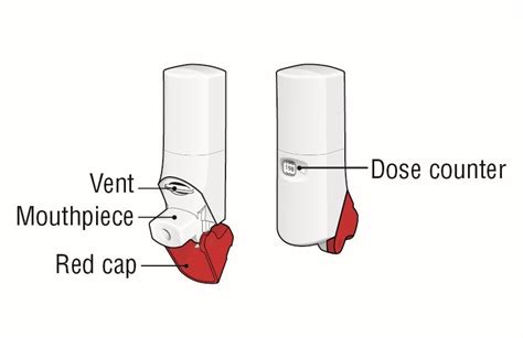 ProAir Respiclick: Package Insert - Drugs.com