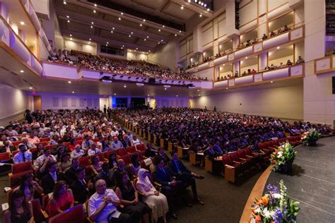 College of Dentistry » University of Florida