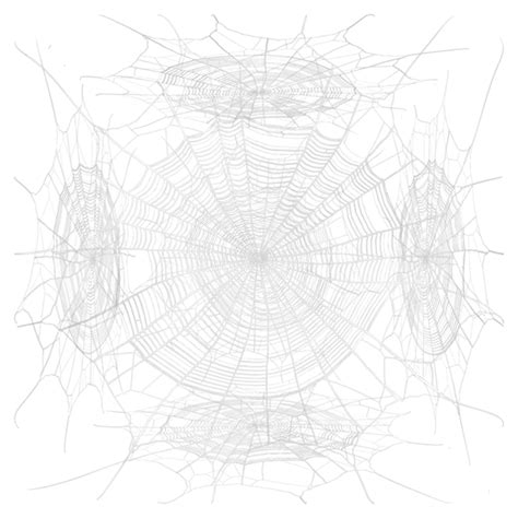 Spider Web / Cobweb Texture | Free PBR | TextureCan