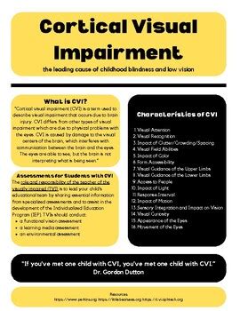 Cortical Visual Impairment Fact Sheet by Miss Stich TVI | TPT