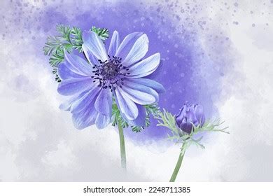 Watercolor Painting Anemone Hupehensis Flowers Known Stock Illustration 2248711385 | Shutterstock