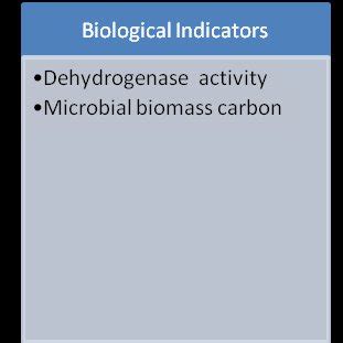 Most commonly used soil health indicators reported by Thakur and Sharma... | Download Scientific ...