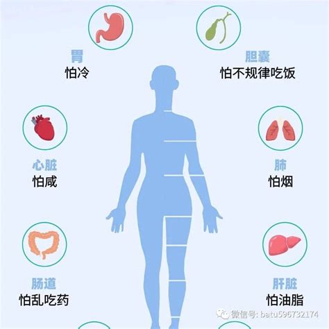 【器官保养】你的身体器官最怕什么呢？_管理