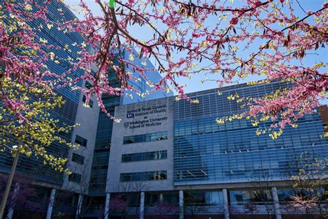 New Faculty | Division of Hospital Medicine | Washington University in St. Louis