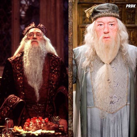 Harry Potter : Richard Harris à gauche et Michael Gambon à droite - Purebreak