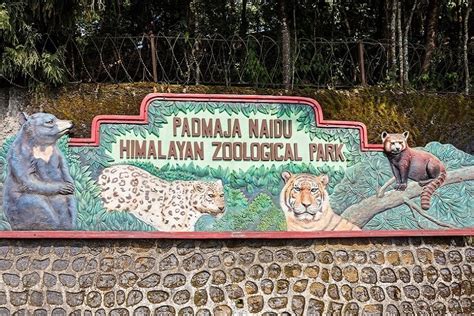 Most Popular Zoological Parks in India – OYO Hotels: Travel Blog