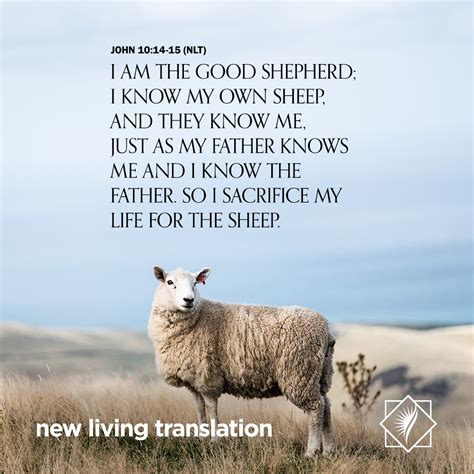 What Is A Good Shepherd In The Bible