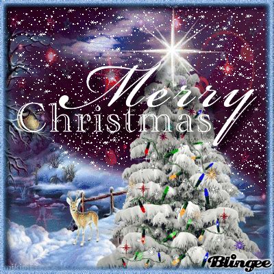 Blingee Christmas Graphics | merry christmas Picture #135599459 ...