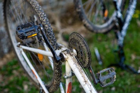 Bike Parts on Street. Preparation of Bike for Cycling Season, Repair, Restoration Stock Image ...