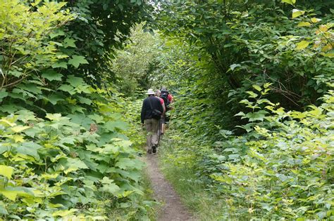 Quadra Island Hikes - Campbell River Whale Watching and Adventure Tours