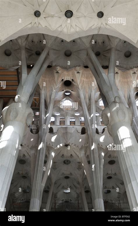 Columns and ceiling at the Sagrada Familia Cathedral by Gaudi Stock Photo - Alamy