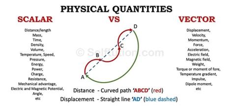 Scalar and Vector Quantities |Differences & Examples » Selftution