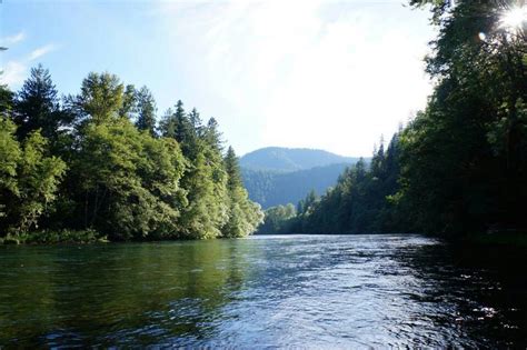 the water is very calm and clear in this area with trees on both sides ...