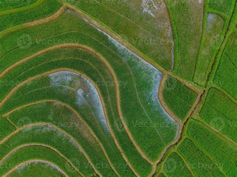 Aerial view of green rice terraces in Indonesia 21589013 Stock Photo at ...