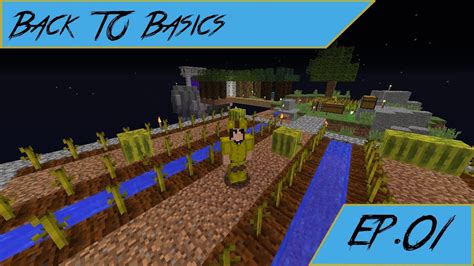 Hypixel Skyblock: Back to Basics Ep 01 - Basic Melon Farm - YouTube