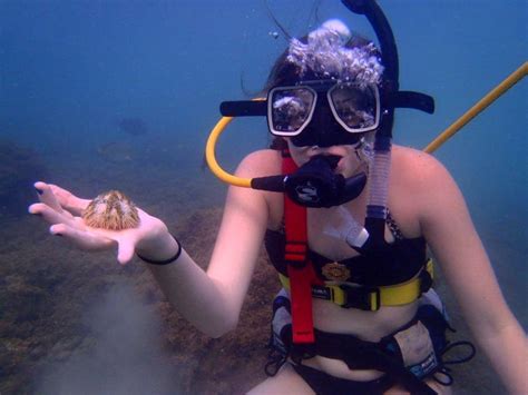 Puerto Rico Cruise Excursions | snuba diving san juan excursion