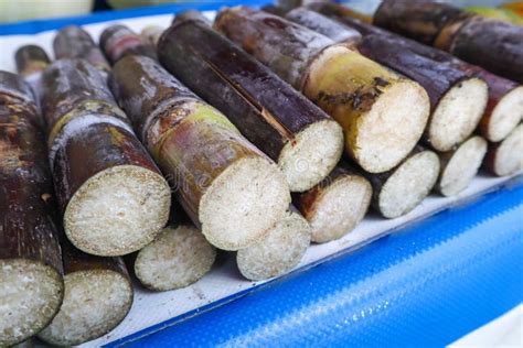 Sugar Cane at a Market in Mexico City Stock Photo - Image of regional ...