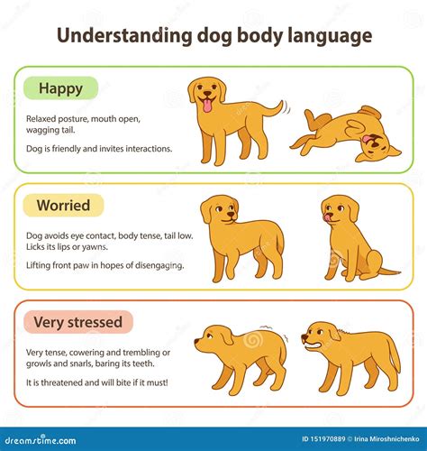 Dog Body Language Tail Chart