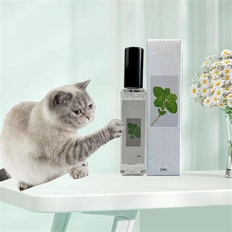 Herbal Cat Joy, Catnip Spray for Cats, Catnip Spray for Indoor Cats | eBay