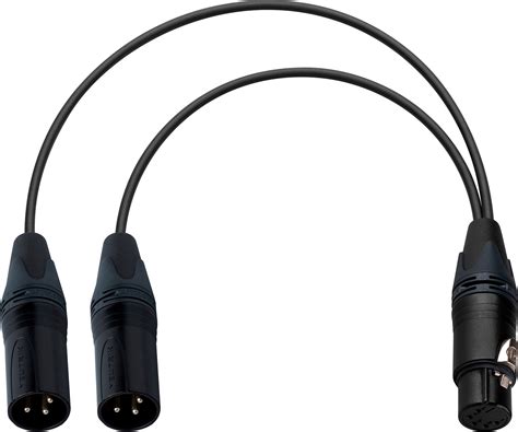 Sound Devices 5-Pin Female XLR to Dual 3-Pin XLR Male Balanced Line Cable -1 Ft