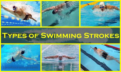 Swimming Strokes Types | Swimming Styles Techniques | Breaststroke ...