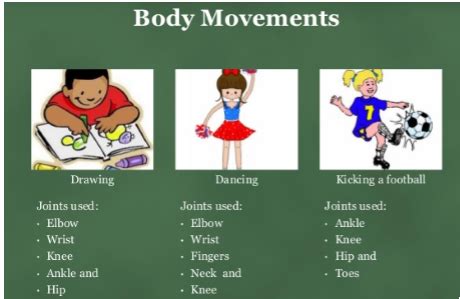 lesson plan about different body parts and their movements