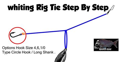 Pin on Rigs For Whiting Fishing Made easy