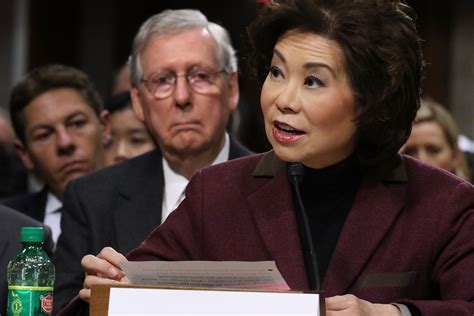 Mitch Mcconnell Family Business - Watchdog Faulted Elaine Chao For ...