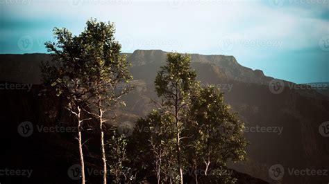 Pine trees and Huangshan mountains in China 5660784 Stock Photo at Vecteezy