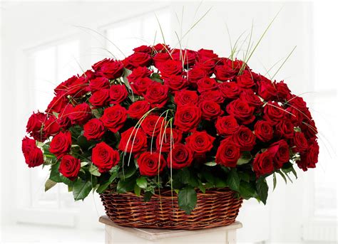 #831361 Roses, Caladium, White background, Wicker basket - Rare Gallery HD Wallpapers